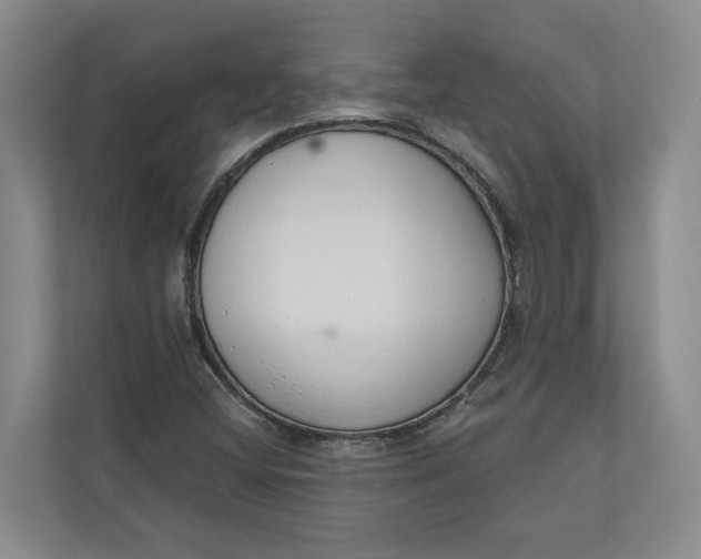 X0000110741404200906290939