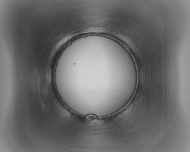 X0000110741406200906290939