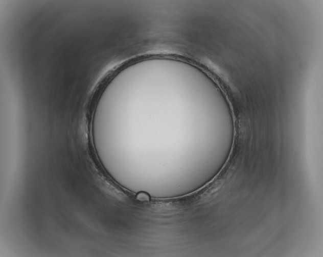 X0000110741408200906290939