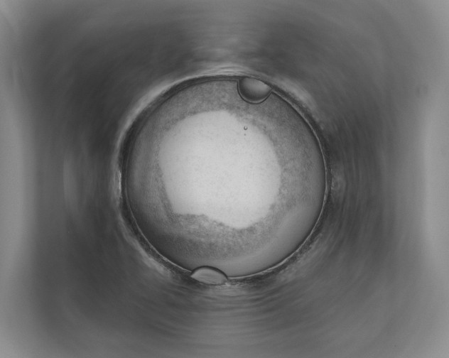 X0000110741414200906290939