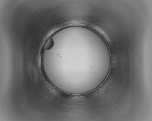 X0000110741419200906290939