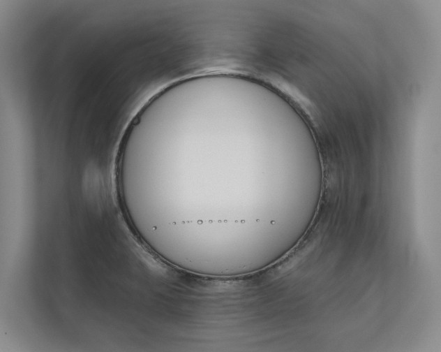 X0000110741423200906290939