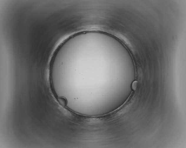 X0000110741424200906290939