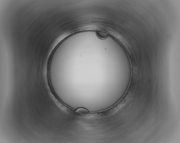 X0000110741426200906290939