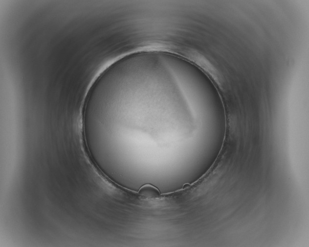 X0000110741428200906290939