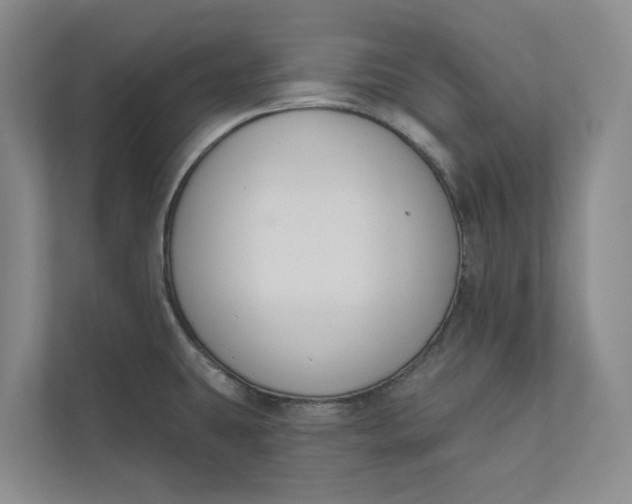 X0000110741431200906290939