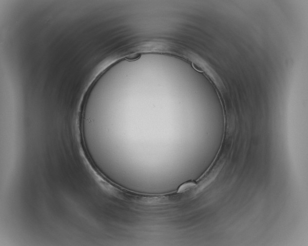 X0000110741434200906290939