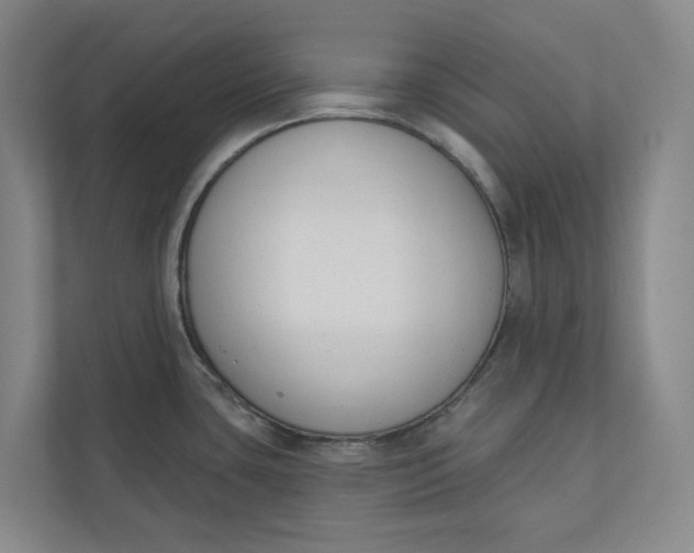 X0000110741435200906290939