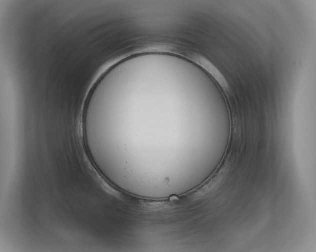 X0000110741436200906290939
