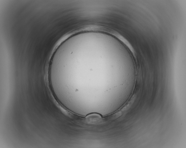 X0000110741437200906290939