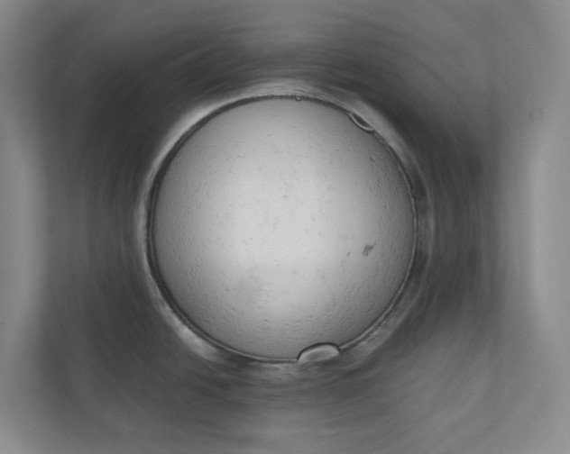 X0000110741438200906290939