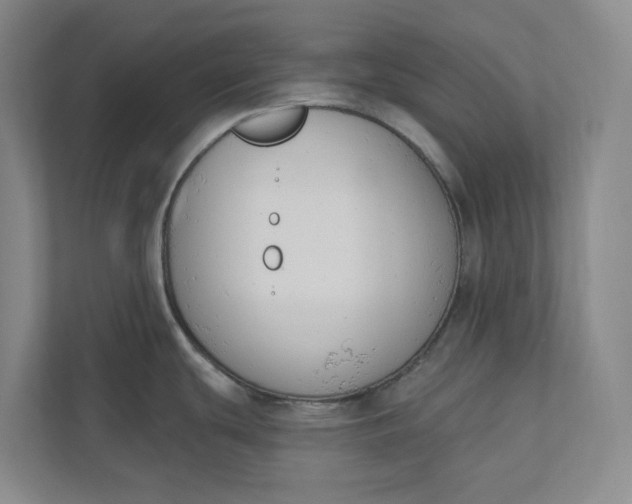 X0000110741439200906290939
