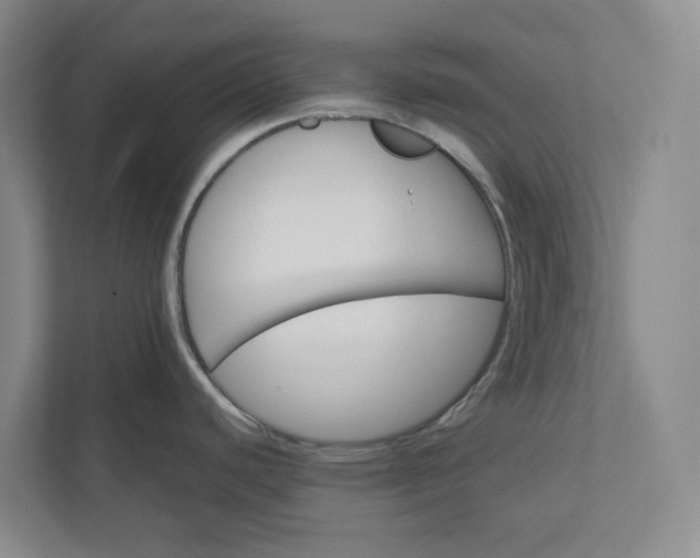 X0000110741440200906290939