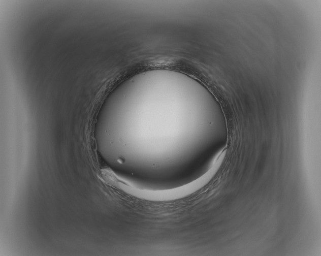X0000110741441200906290938