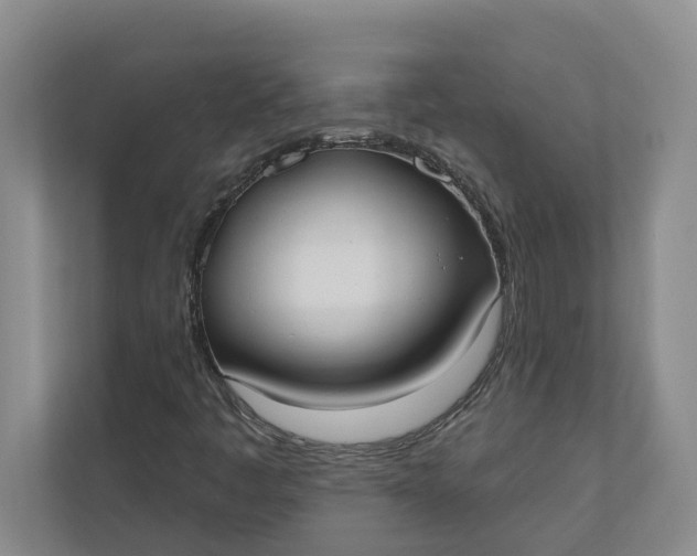 X0000110741445200906290938