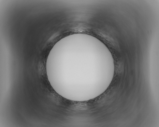 X0000110741446200906290938