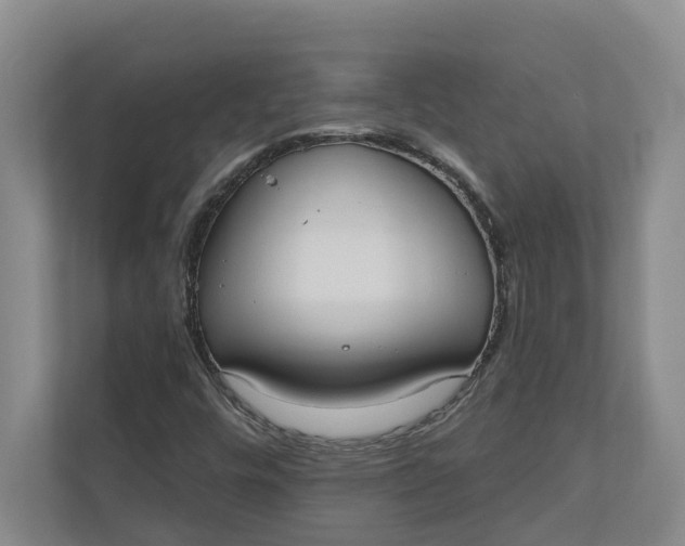 X0000110741448200906290938