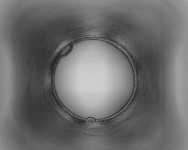 X0000110741450200906290938