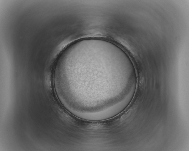 X0000110741455200906290938