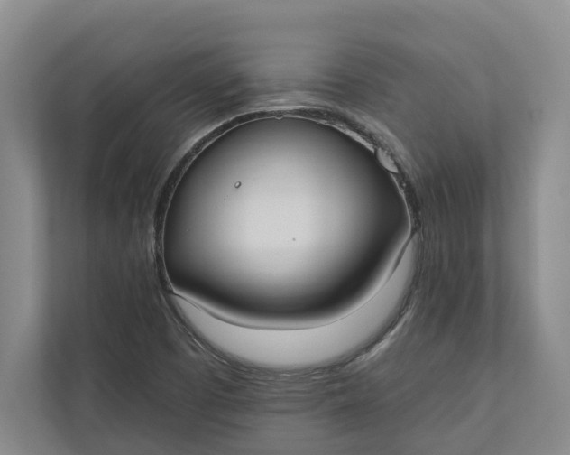 X0000110741457200906290938