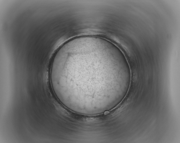 X0000110741459200906290938