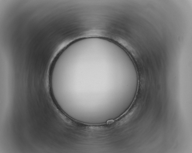 X0000110741469200906290938