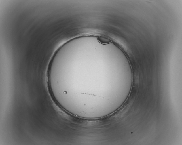 X0000110741471200906290938