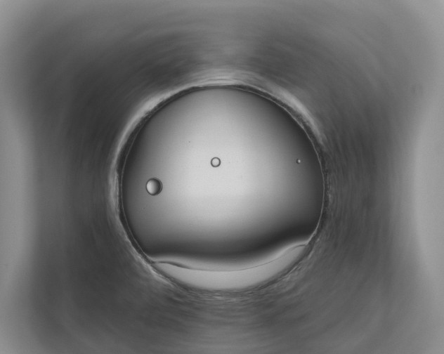 X0000110741472200906290938