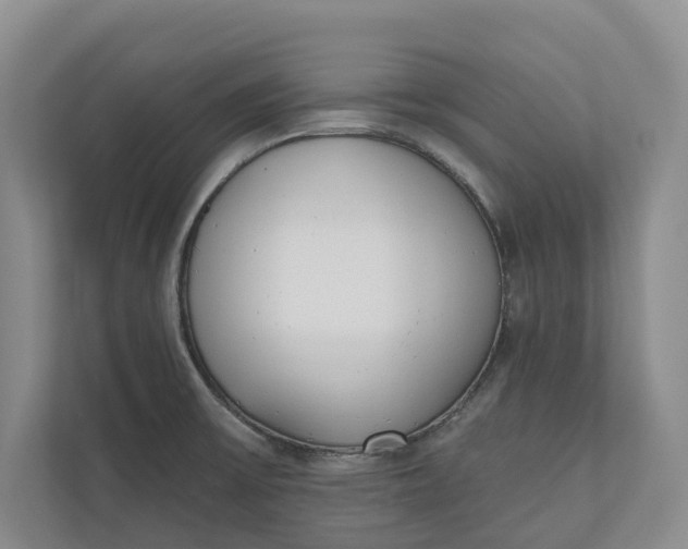 X0000110741475200906290938