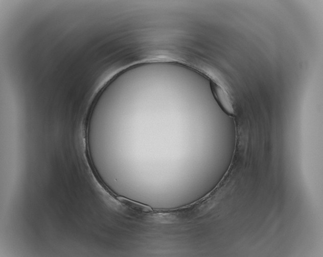 X0000110741476200906290938