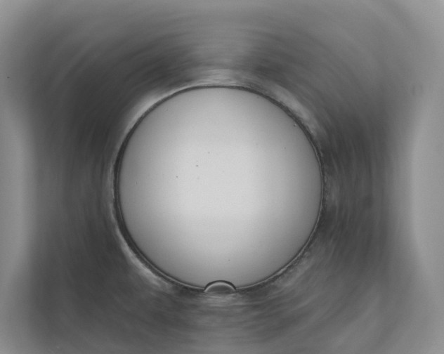 X0000110741479200906290938