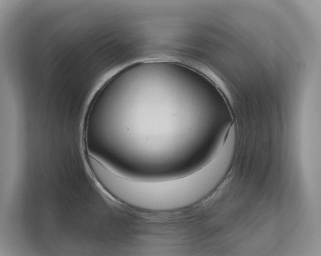 X0000110741485200906290938
