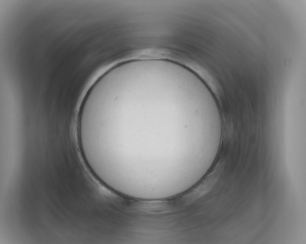 X0000110741486200906290938