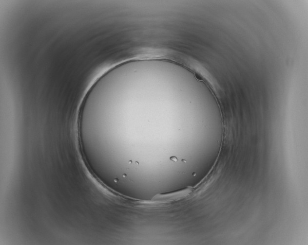 X0000110741487200906290938