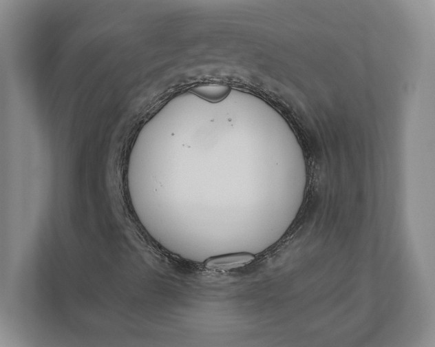 X0000110741489200906290937