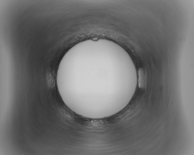 X0000110741491200906290937