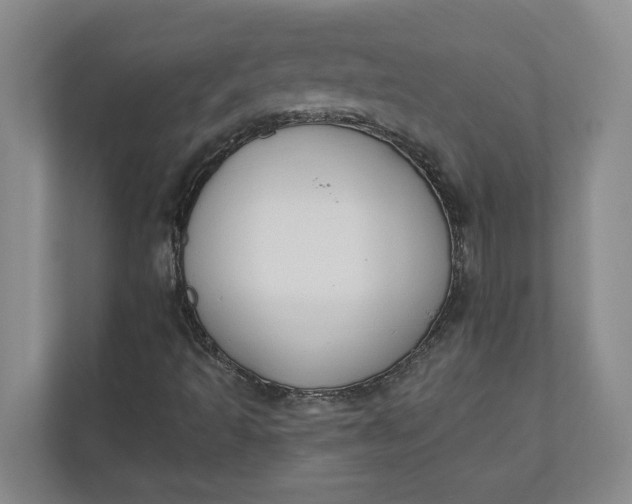 X0000110741493200906290937