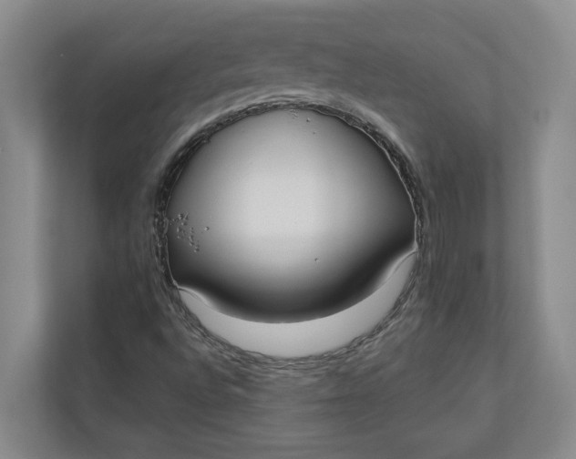 X0000110741496200906290937