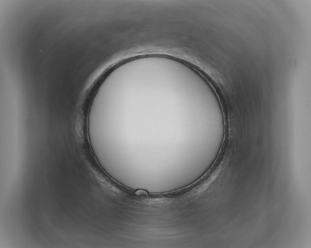 X0000110741502200906290937