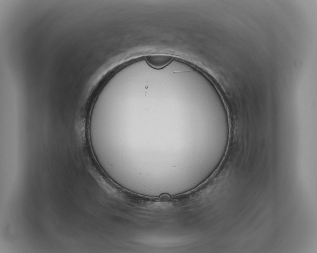 X0000110741503200906290937