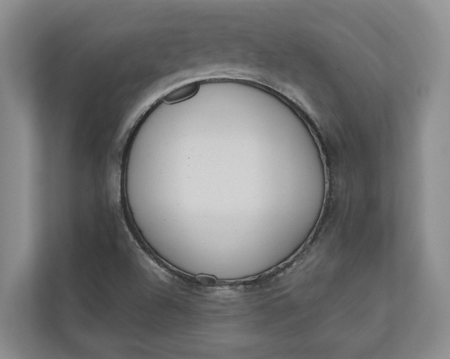 X0000110741504200906290937