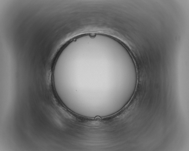 X0000110741507200906290937