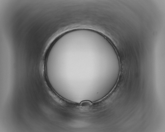 X0000110741511200906290938