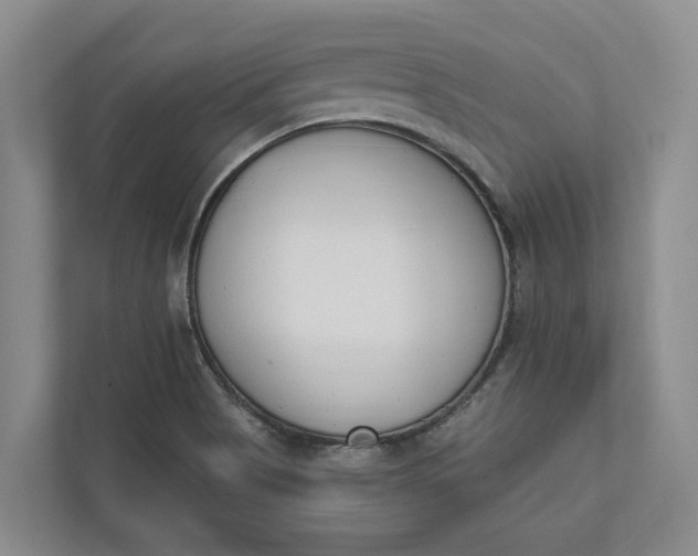 X0000110741513200906290938