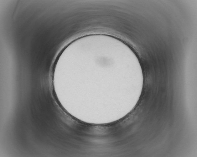 X0000110741514200906290938