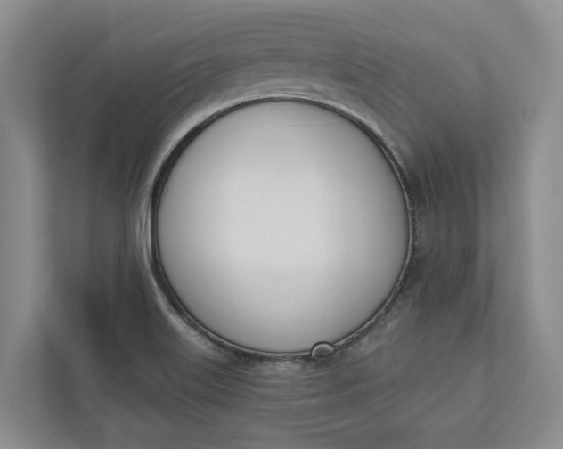 X0000110741515200906290938
