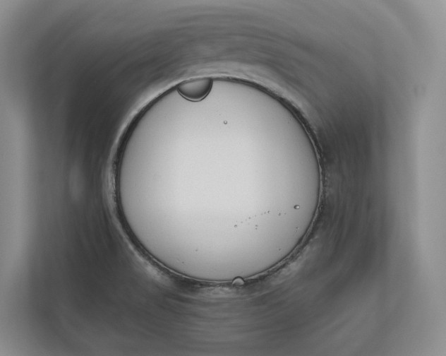 X0000110741517200906290938