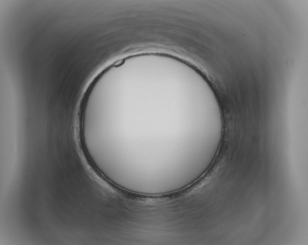 X0000110741518200906290938