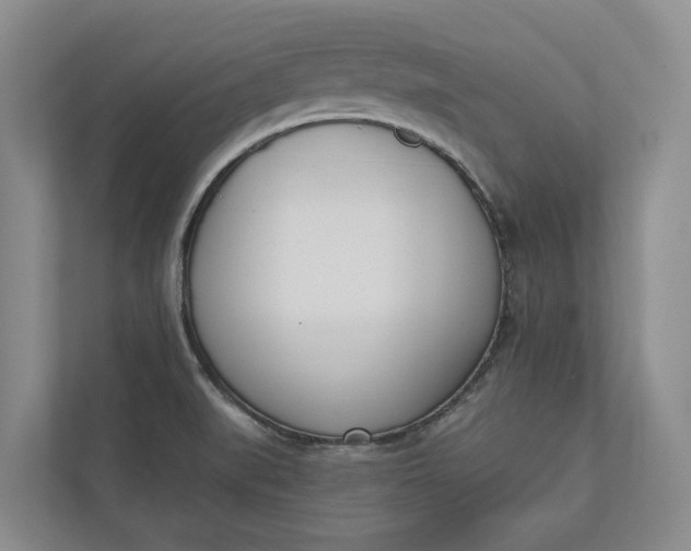 X0000110741519200906290938