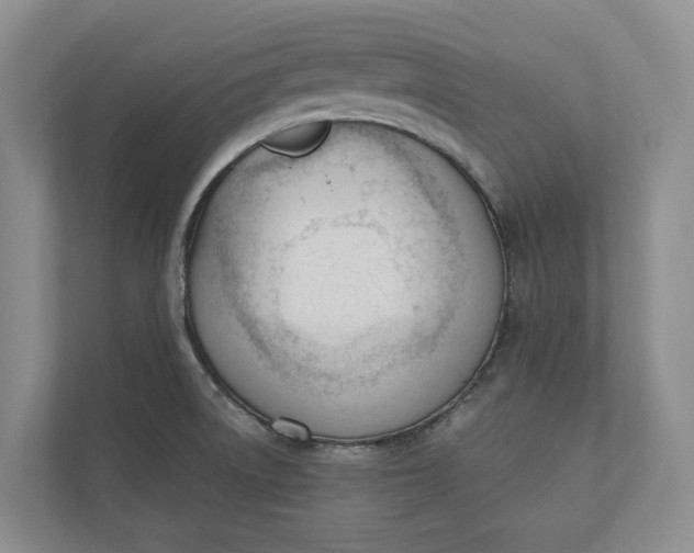 X0000110741522200906290938